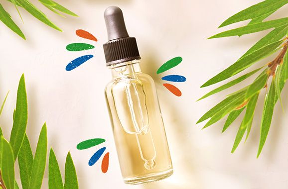 The benefits of aloe vera for skin & hair, explained