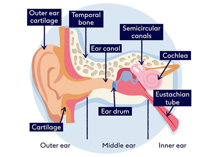 Shower ear sale covers boots