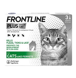 The pet products you didn t know you could get at Boots Boots