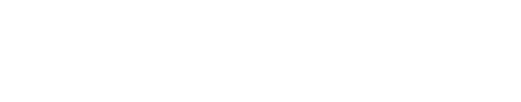 AllSaints logo in white