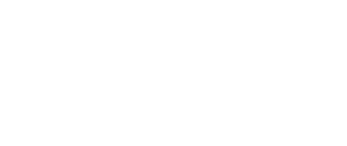 Braun logo in white