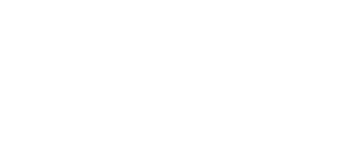 Braun logo in white