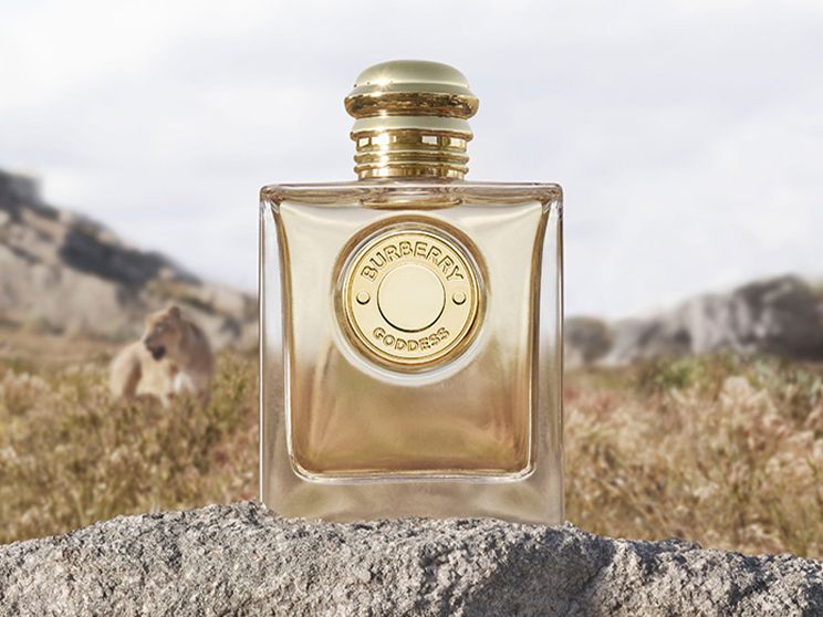 Burberry fragrance online