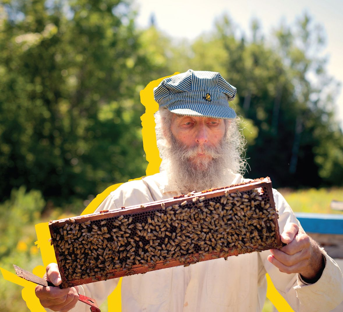 Burt's sales bees clothing