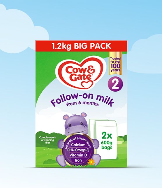 Boots cow and gate 2025