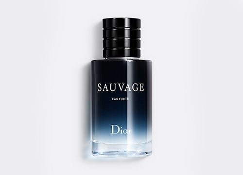 Discover Dior Men s Fragrance Boots