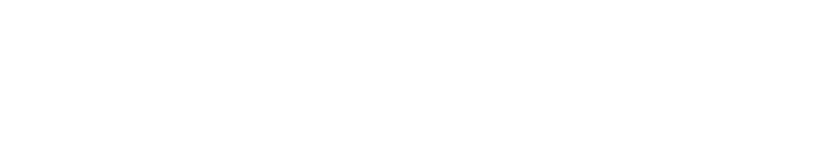 Hermes logo in white