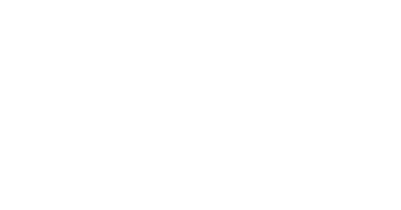 Sleek logo in white