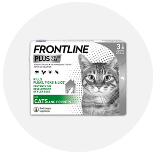 Frontline for cats on sale boots