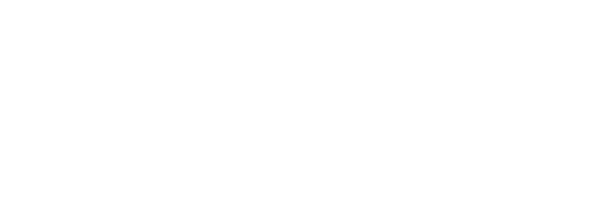 Bondi Sands logo